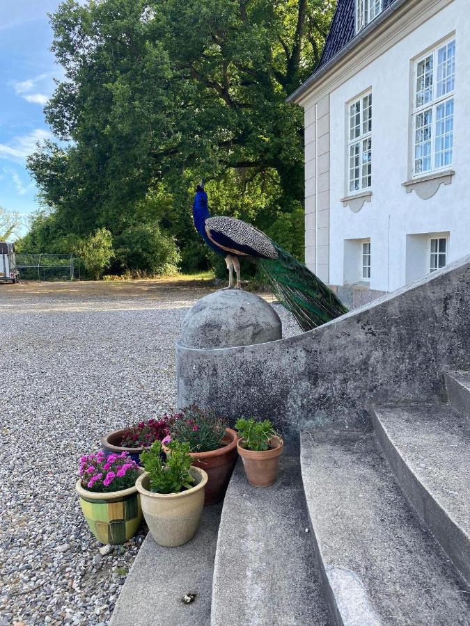 Rosenlund Gods - Kaelder B&B Sakskøbing Extérieur photo